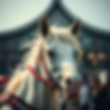 Magnificent 도박마 1화: 베팅의 법칙과 매력 Magnificent 도박마 1화: 베팅의 법칙과 매력