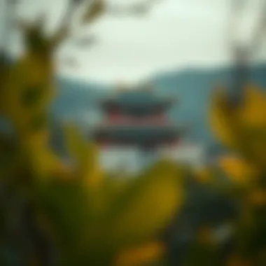 Magnificent 한국 복권의 심층 탐구