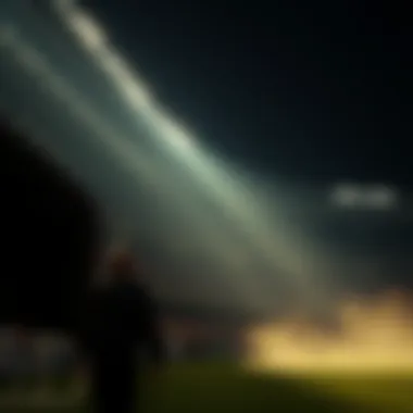 Magnificent 일품로또에 대한 종합 분석 Magnificent 일품로또에 대한 종합 분석