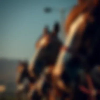 Magnificent 메이저 토토사이트의 이해와 활용 Magnificent 메이저 토토사이트의 이해와 활용