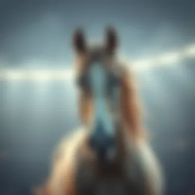 Magnificent 나의 행운의 숫자 Magnificent 나의 행운의 숫자