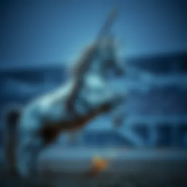 Magnificent 토토 반환신청 개요 및 과정 Magnificent 토토 반환신청 개요 및 과정