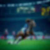 복권과 스포츠 베팅의 결과: 정보와 전략 Introduction