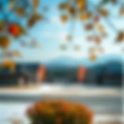 A panoramic view of Gyeongju showcasing seasonal changes