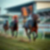 Thoroughbred horse racing at the track