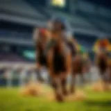 Dynamic horse racing action