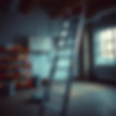 Checklist of factors to consider when purchasing a ladder