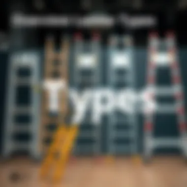 A detailed illustration of various ladder types and their features