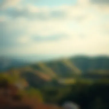 User experience insights