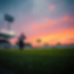 로또 1087의 심층 분석 Introduction