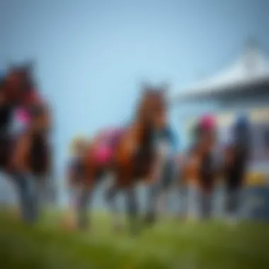 A visual guide to the latest trends in horse racing